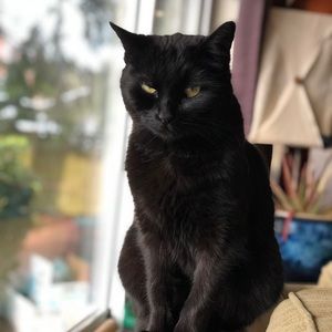 Meet your Posher, Kris